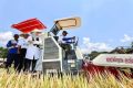 Ketahanan Pangan Jadi Perhatian, Distribusi dan Produksi Lokal Punya Peran Penting